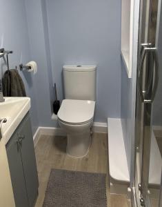 a bathroom with a toilet and a sink at Charming 2 bedroom cottage in Brecon - families and pets welcome! in Brecon