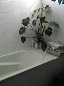 Ένα μπάνιο στο Respire