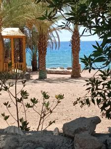 Imagen de la galería de مخيم مبروكه, en Nuweiba‘ el Muzeinah