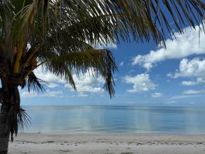 Φυσικό τοπίο κοντά σε αυτό το ξενοδοχείο