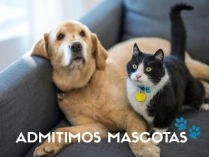 Domácí mazlíčci ubytovaní s hosty v ubytování Apartamentos Confort Formigal 3000