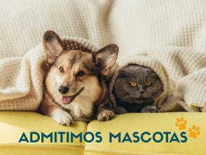 a dog and a cat laying next to each other at Apartamentos 3000 Formigal in Formigal