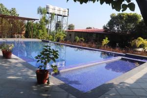 a large swimming pool with a potted plant next to it at Big Mama Corbett in Belparāo