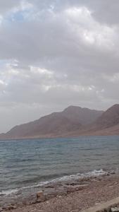 Imagen de la galería de مخيم مبروكه, en Nuweiba‘ el Muzeinah