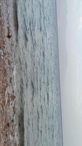 Imagen de la galería de مخيم مبروكه, en Nuweiba‘ el Muzeinah