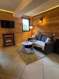 a living room with a couch and a fireplace at Appartement cosy entre lacs et montagnes in Guillestre