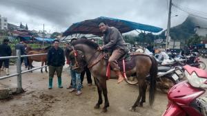 a man sitting on a horse with an umbrella at Higland Homestay Bac Ha in Bắc Hà