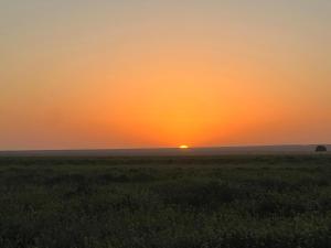 Gallery image of visit bab sahara iriki in Foum Zguid
