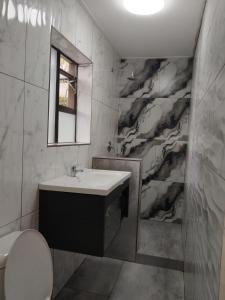 un bagno con lavandino e specchio di Cooperville a New Germany