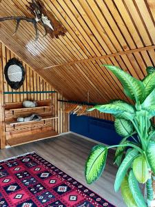 a room with a wooden ceiling and a plant at FoRResT in Chynadiyovo +47 photos