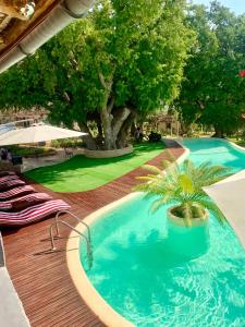 une piscine avec des chaises et un palmier sur une terrasse dans l'établissement Ifaty Beach Club Resort, à Ifaty