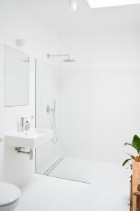 a white bathroom with a sink and a shower at Im Scheunhornweg in Werder +51 photos