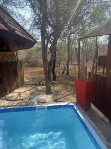 Bassein majutusasutuses Sunbirds at Kruger või selle lähedal
