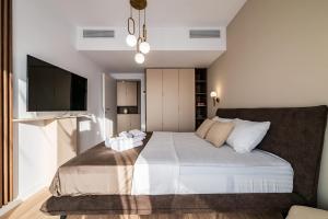 une chambre avec un grand lit et une télévision à écran plat dans l'établissement Metropolitan Spacious Retreat - Balcony and View, à Vatra Mînăstirii Cotroceni