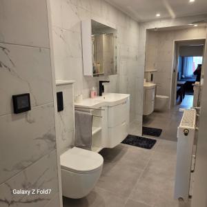 a white bathroom with a toilet and a sink at Ferienwohnung in Bexbach +4 photos
