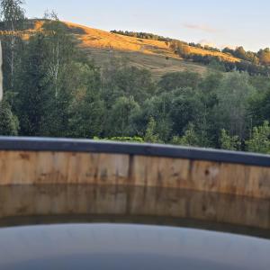 Billede fra billedgalleriet på Pensiunea Plaiul Domnesc Runcu i Runcu