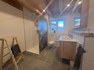 une salle de bain avec douche, lavabo et toilettes dans l'établissement Haus Am Faltenbach - Ferienhäuser Alpenglück, à Oberstdorf