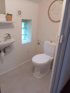 Un baño blanco con inodoro y lavabo. en Maisonnette cosy 2 chambres, en Freyming-Merlebach