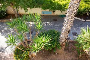 Zahrada ubytování Solemar Sicilia - Villa Anastasia