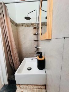 a bathroom with a white sink and a mirror at The Rustic Residence - Fine Culinary Experience - TRR6 in Pointe aux Canonniers +39 photos