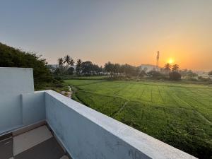 a view of a field from the balcony of a house at Cocogreen Hampi in Hampi +56 photos