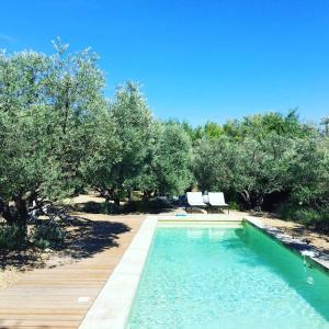 a swimming pool with a wooden deck and trees at La Matina Family Haven with Olive Garden Oasis in Lauris +42 photos