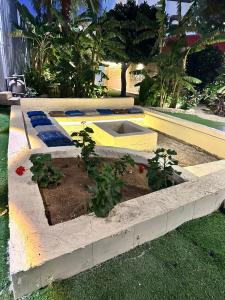 a garden with plants in a concrete planter at بلكونه 7 in Taif
