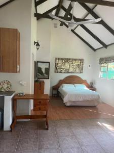 a bedroom with a bed and a desk and a ceiling at Proudly Okavango self-catering Burnside in Shakawe