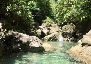 a pool of water with rocks and a waterfall at Treehouse de Valentine in Balamban