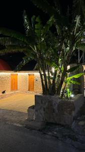 a tree in a stone planter next to a building at بلكونه 7 in Taif