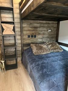a bedroom with a bunk bed and a ladder at Mimi lodge familly in Valloire