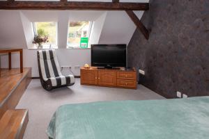 1 dormitorio con TV de pantalla plana y silla en Ferienhaus im Pochwerksgrund in Suhl Goldlauter im Thüringer Wald, en Suhl