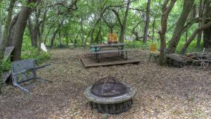 Zahrada ubytování Cypress Hollow Cabin + 2 fotografie