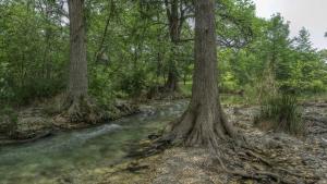 a stream in a wooded area with trees at Old Glory River Cabin in Utopia