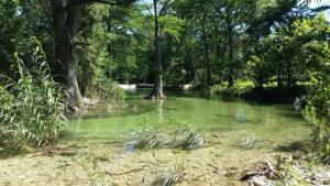 a river with green water and trees in the background at Old Glory River Cabin in Utopia
