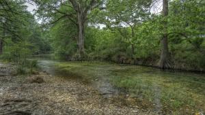 a river in a forest with trees at Old Glory River Cabin in Utopia