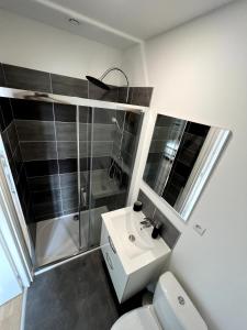 リエヴァンにあるLe Cosy, 2P Centre-villeのトイレ、洗面台、シャワー付きのバスルーム