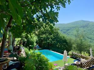 vistas a una piscina con montañas de fondo en Gite Du Bas - À La Rouquette, en Saint-Privat
