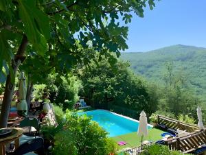 vistas a una piscina con montañas de fondo en Gite Du Haut - À La Rouquette, en Saint-Privat