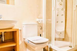 a bathroom with a toilet and a shower and a sink at Gran Via Alaia Seasonal Living in Madrid +4 photos