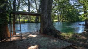 a wooden platform with a tree and a ladder next to a river at Humming Bird Haven in Utopia