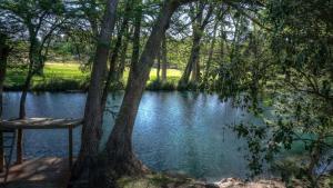 a picnic table next to a river with trees at Humming Bird Haven in Utopia