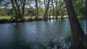 a river in a park with trees and water at Humming Bird Haven in Utopia +10 photos