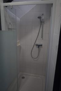 a bathroom with a shower and a toilet at Agréable maison avec jardin dans le centre historique de Bourdeilles in Bourdeilles +14 photos