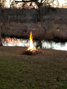 a fire pit in the grass next to a pond at Kay's River Escape in Utopia