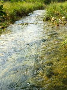 a stream of water with rocks in a field at Kay's River Escape in Utopia