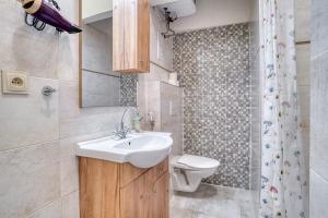 a bathroom with a sink and a toilet at Charming Downtown Apartment in Otilia