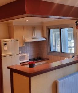 La cuisine est équipée d'un réfrigérateur blanc et d'un four micro-ondes. dans l'établissement Joli appartement avec jardin à 5 min des Thermes, à Arles-sur-Tech