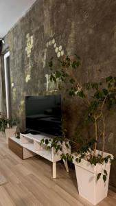 TV a/nebo společenská místnost v ubytování Dinjas place