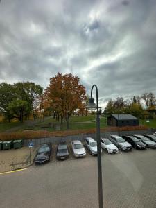 een groep auto's geparkeerd op een parkeerplaats bij Crown Apartment Park View in Ukmergė